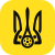 Чемпіонат області