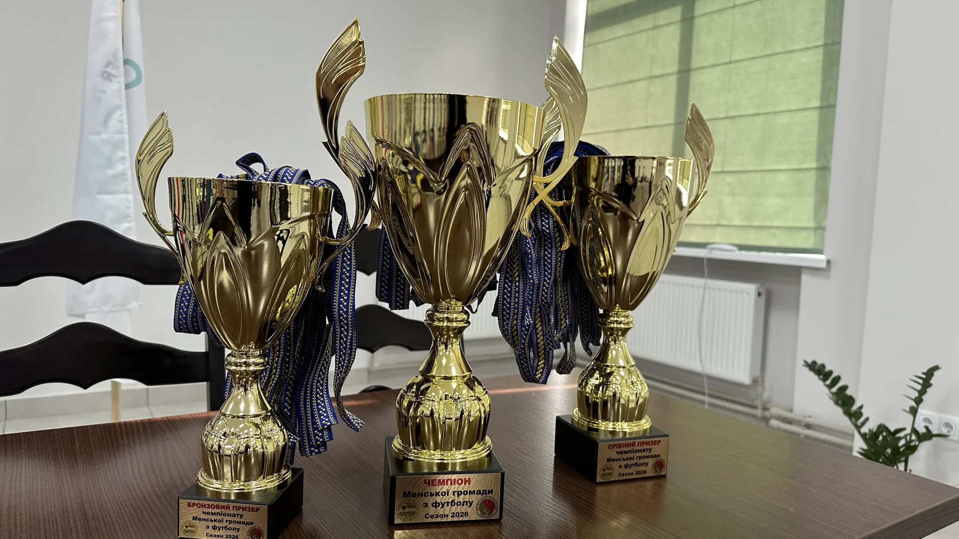 У Мені відбувся підсумковий захід, присвячений завершенню чемпіонату Менської територіальної громади з футболу сезону 2026 року.